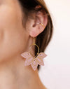 Floras