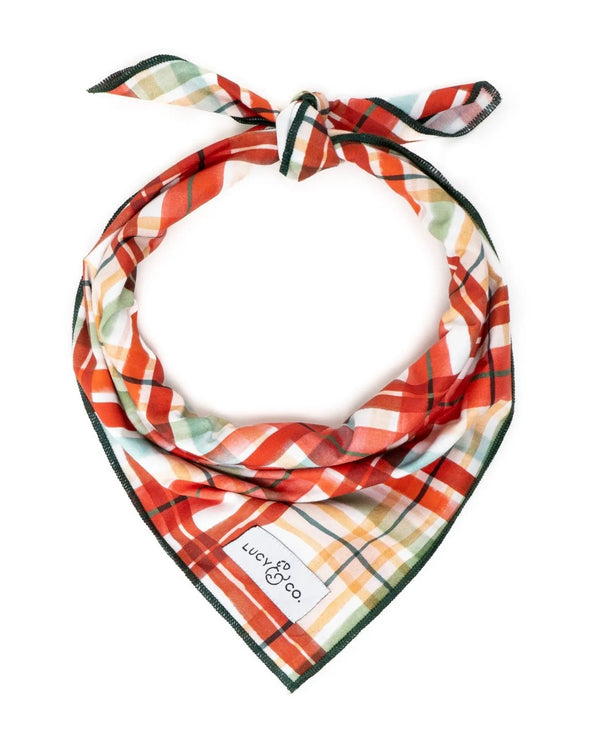 Festive Dog Bandana