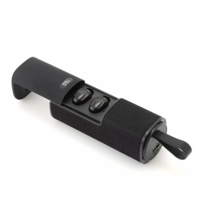 Wireless Speaker + Ear Buds