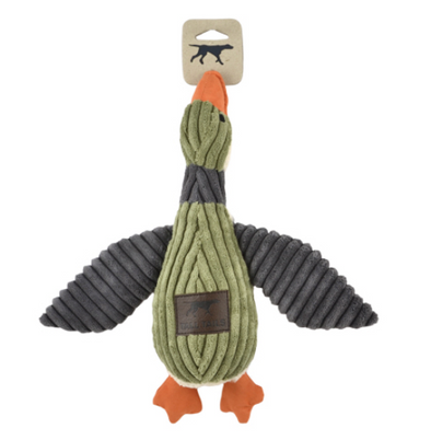 Squeaky Toy
