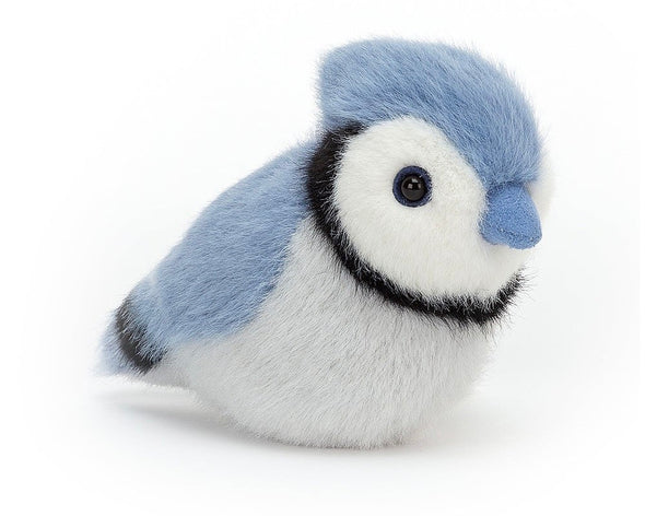 Birdling Blue Jay