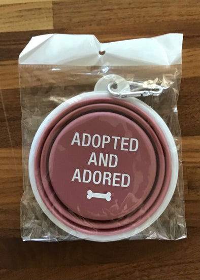 Collapsible Dog Dish