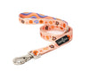 Lucy & Co Leash
